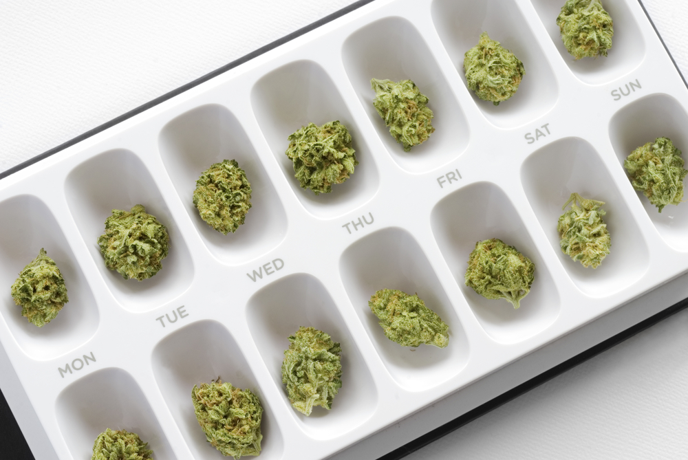 microdosing with small marijuana buds in a tray