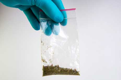 bag of fake weed
