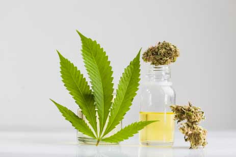 marijuana leaves and vile of cannabis oil