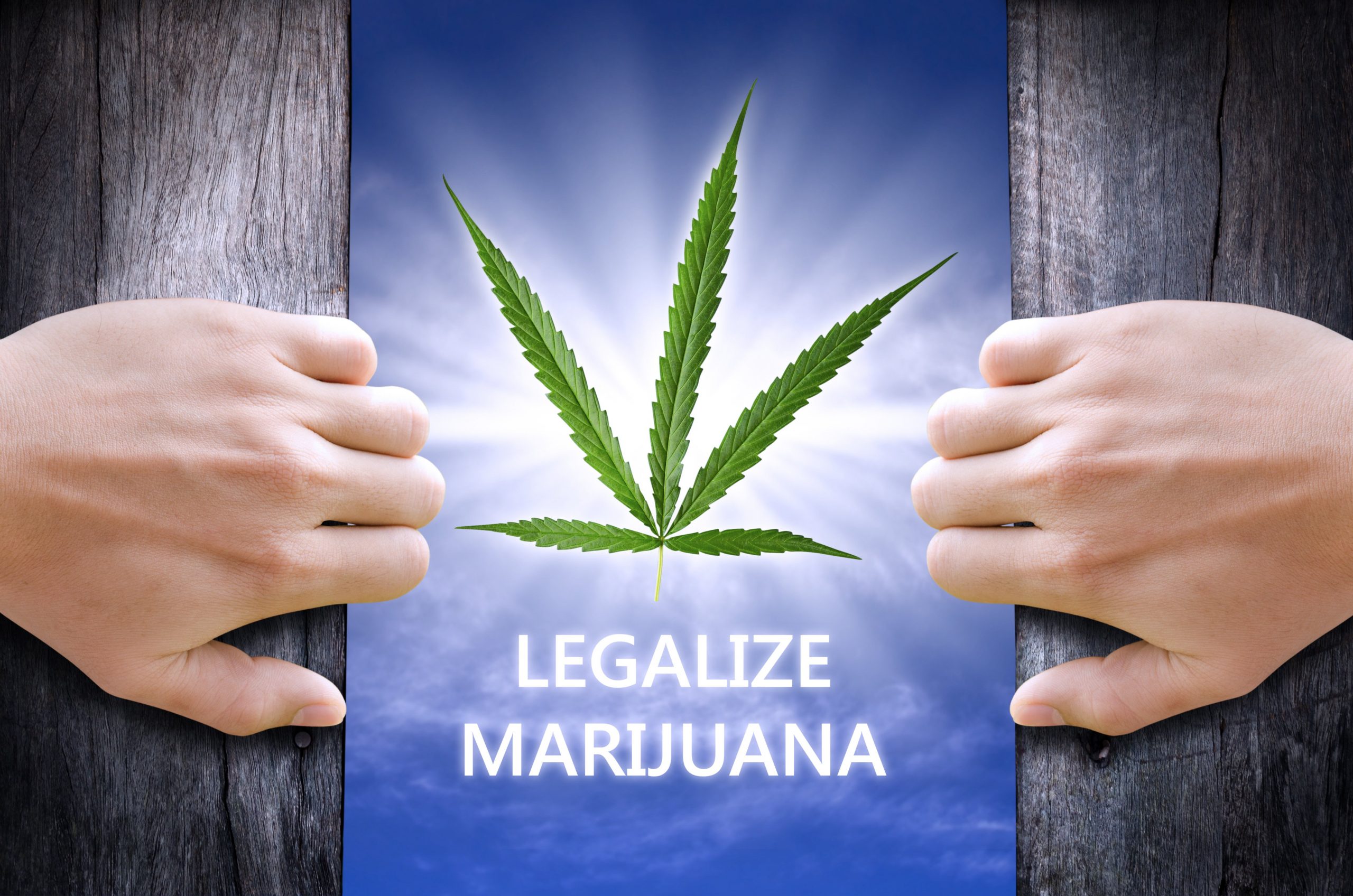 sign reading legalize marijuana