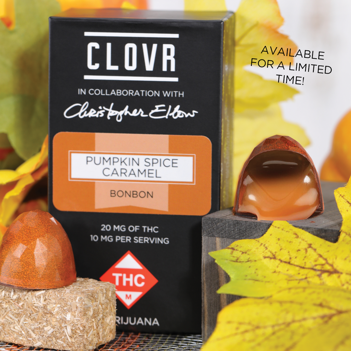 christopher elbow marijuana pumpkin spice caramel chocolate bon bons