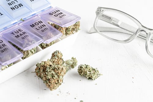 marijuana buds in daily medication pill case