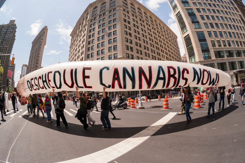 people protesting for marijuana rescheduling