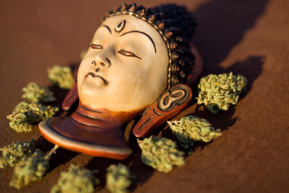 Cannabis plant with Buddha statue