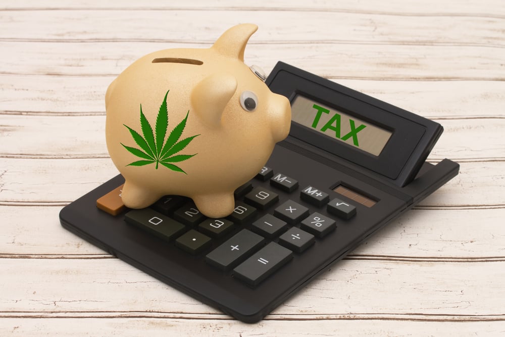 piggy bank with marijuana leaf