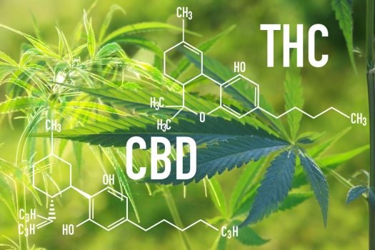 c.b.d. and t.h.c. molecular diagram