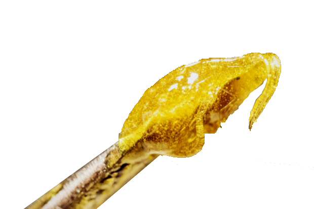 clovr-concentrates-rosin