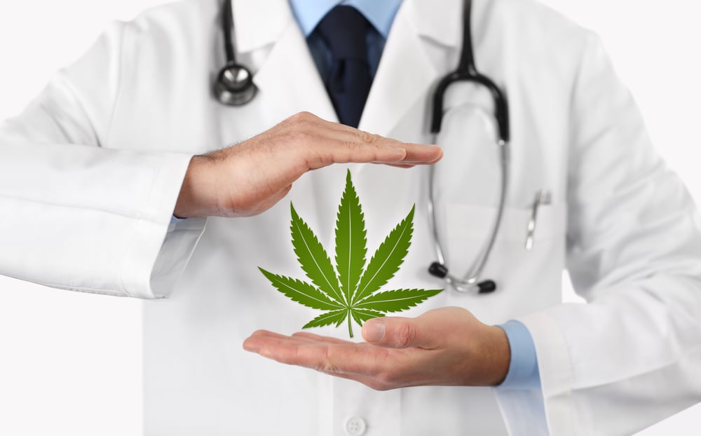 doctor hands with marijuana leaf 