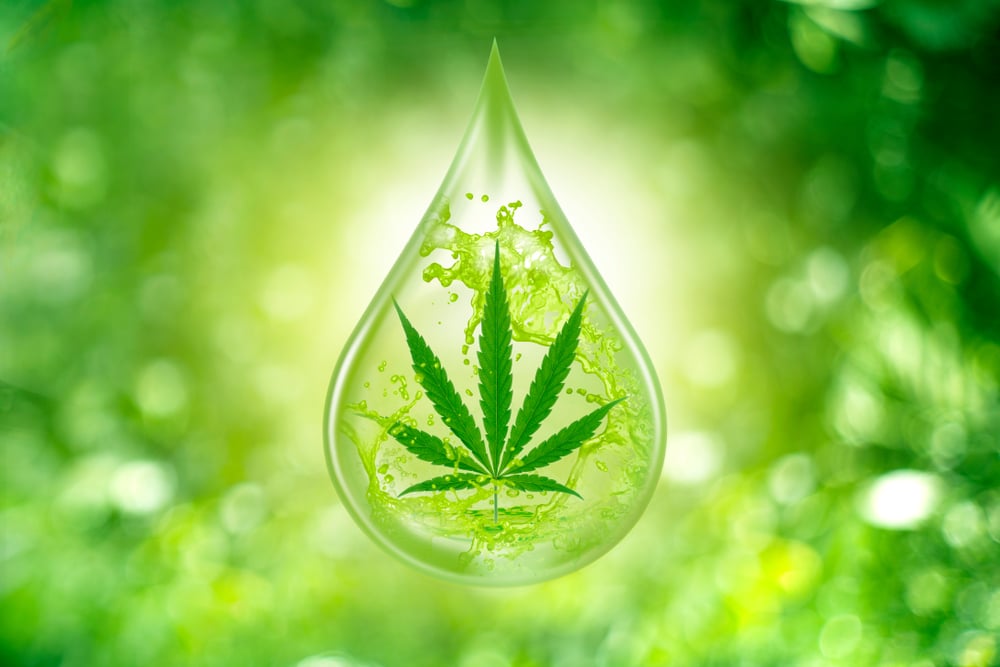 drop of marijuana oil with marijuana leaf overlay