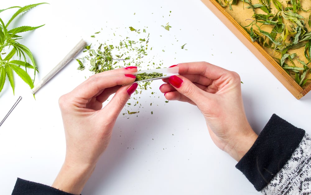 female hands rolling marijuana joint