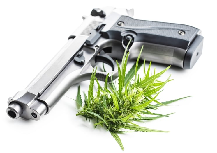 gun with a marijuana bud