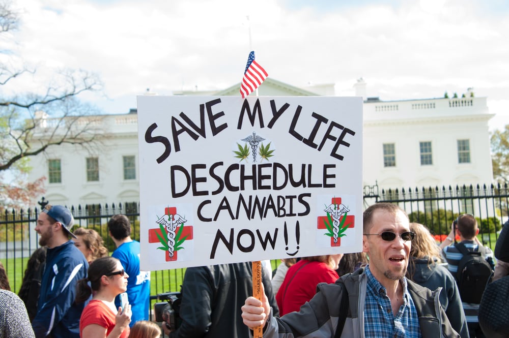 norml protesters at the white house