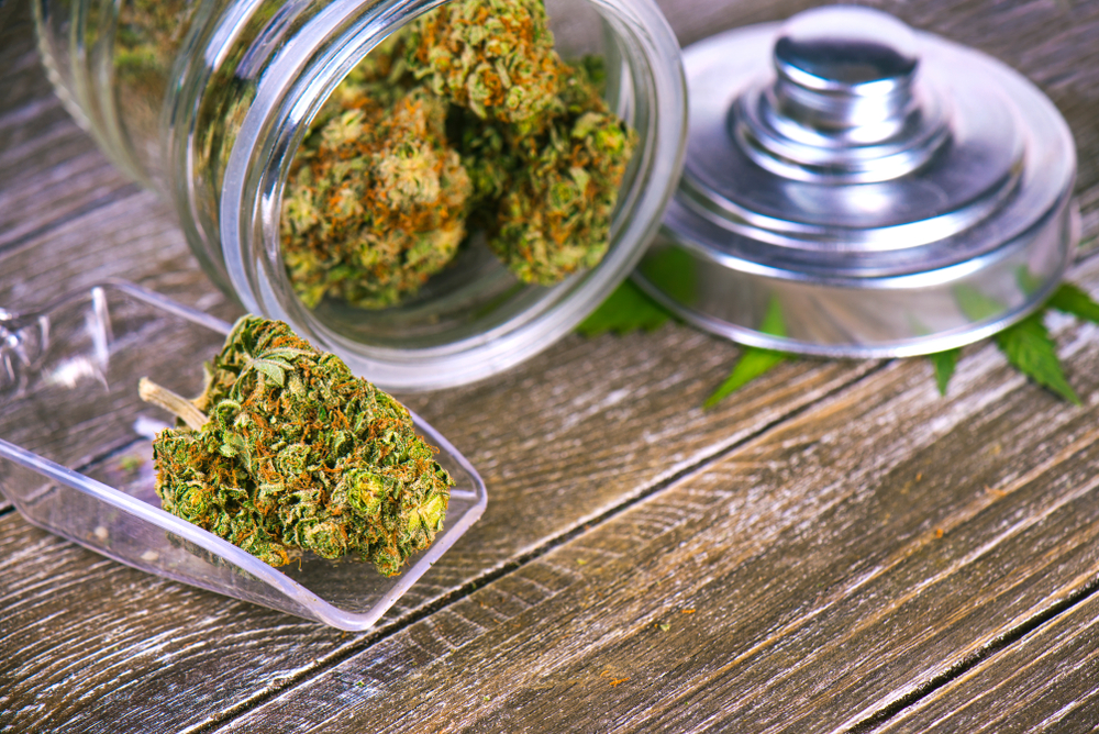 marijuana buds in a jar