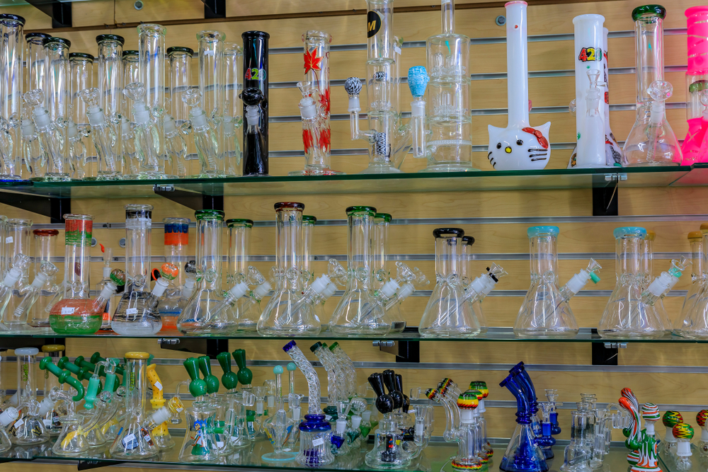 large display of glass marijuana bongs