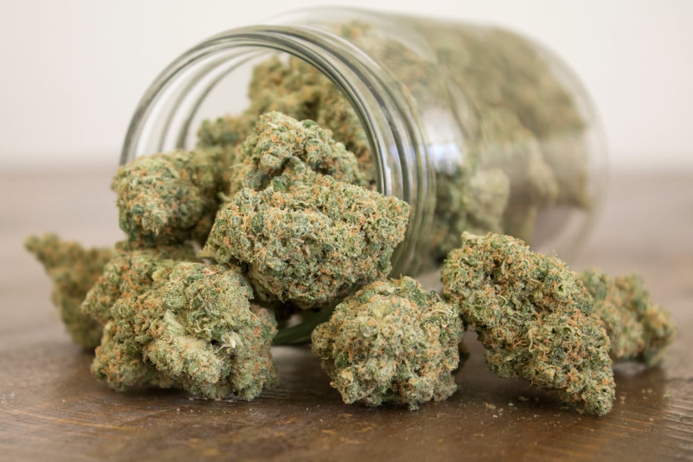 marijuana buds in a jar