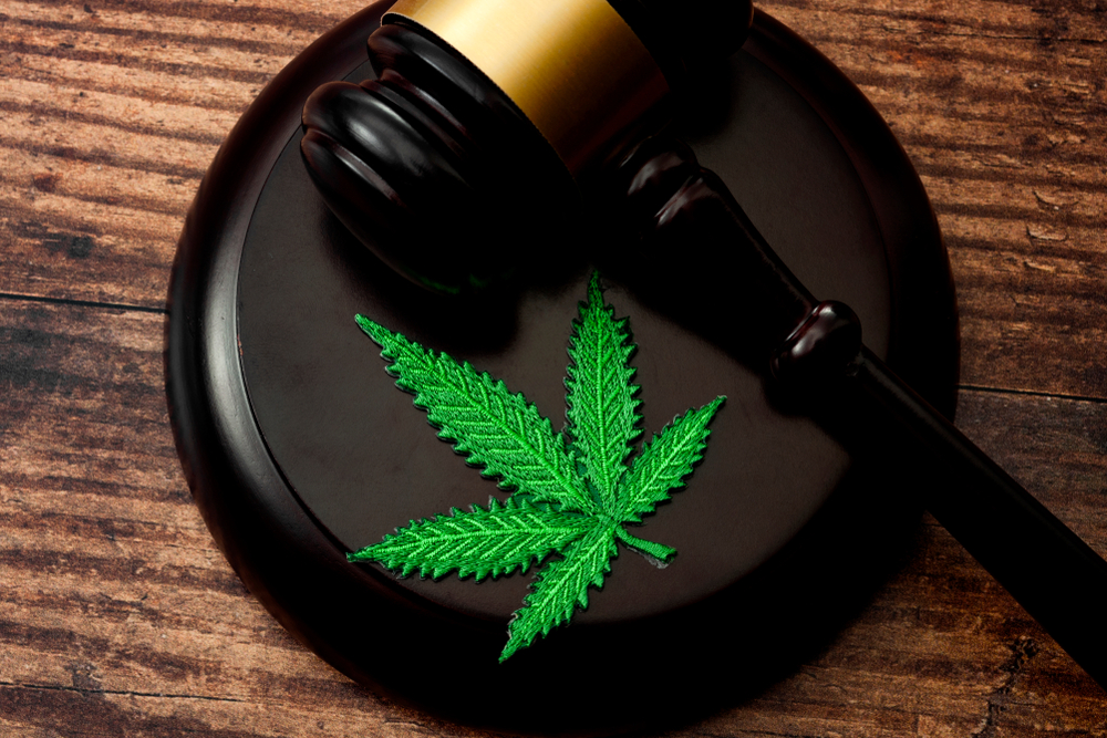 marijuana leaf and judges gavel