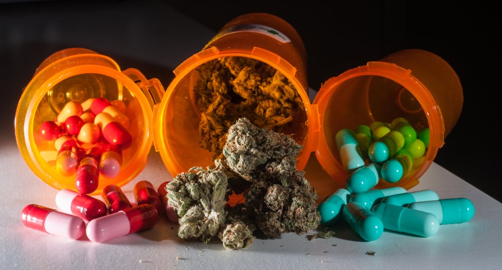 marijuana versus prescription pain pills