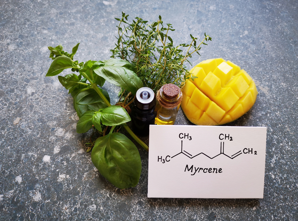 myrcene fruit molecular structure