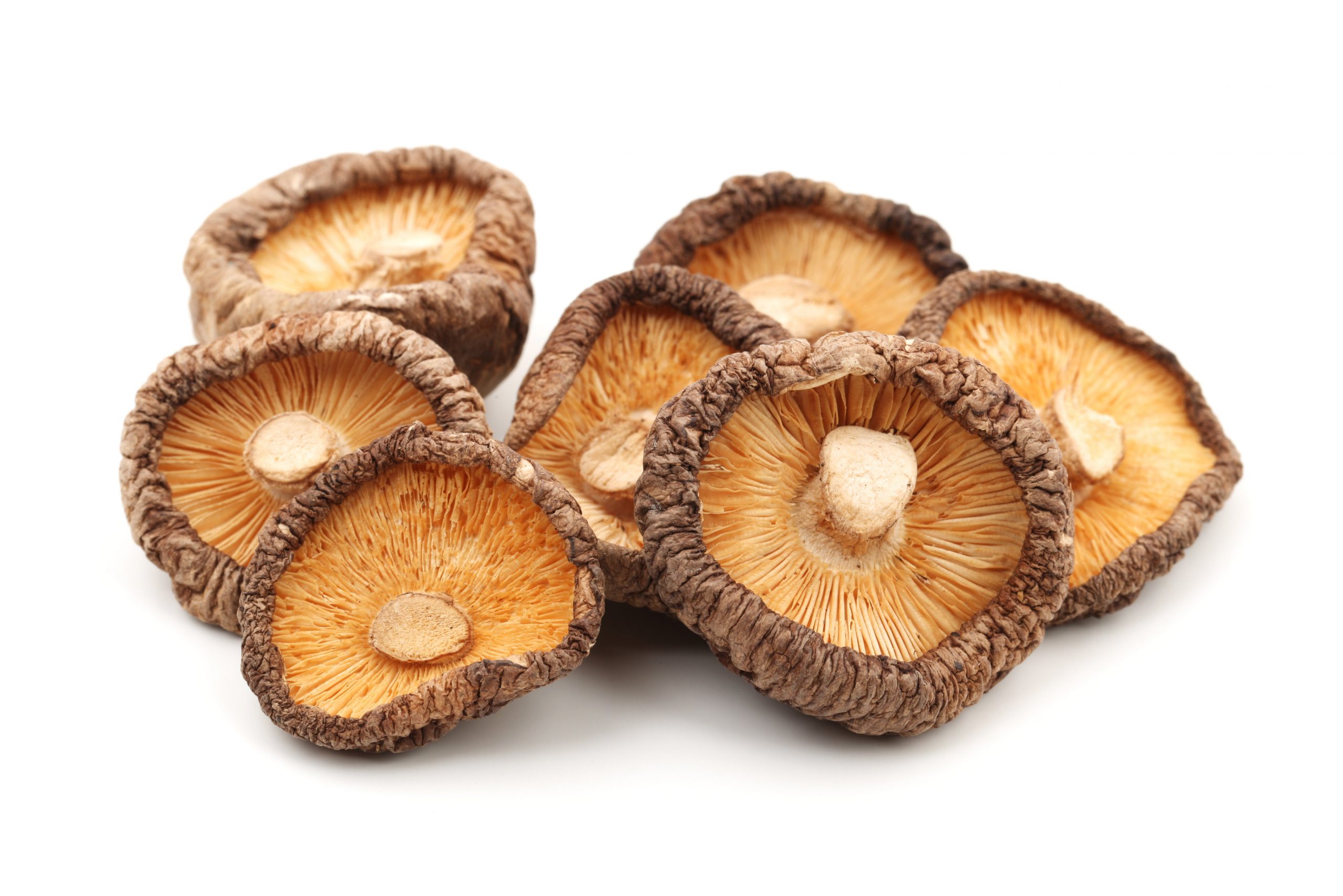 dried shitake mushrooms