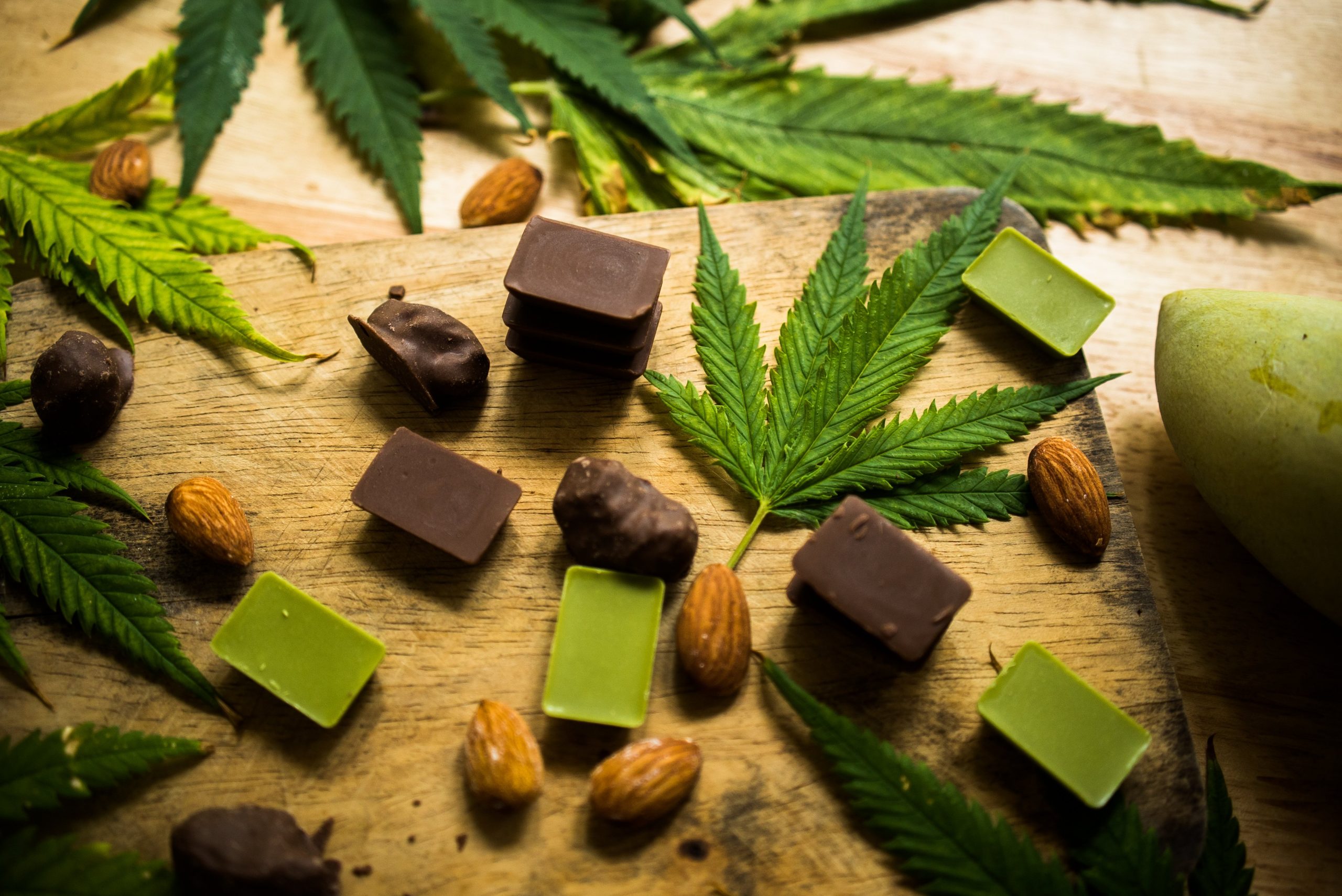 marijuana leaves and cannabis chocolate edibles