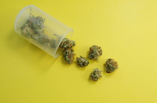 small marijuana buds for microdosing