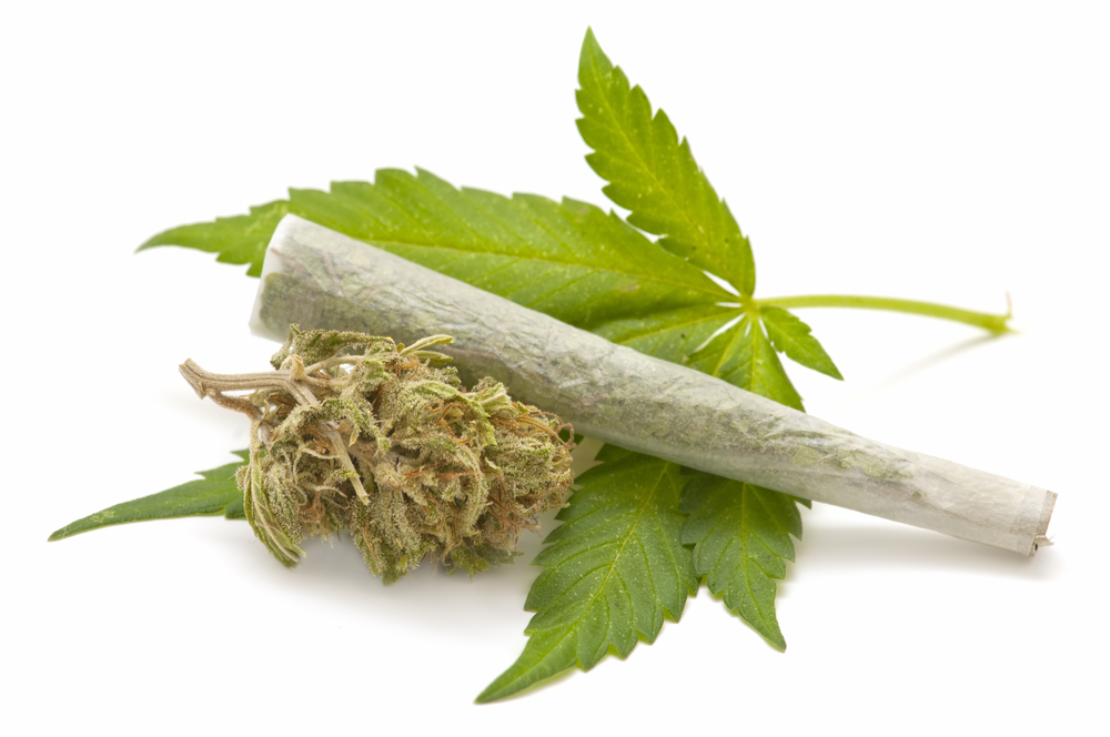 marijuana joint and leaf