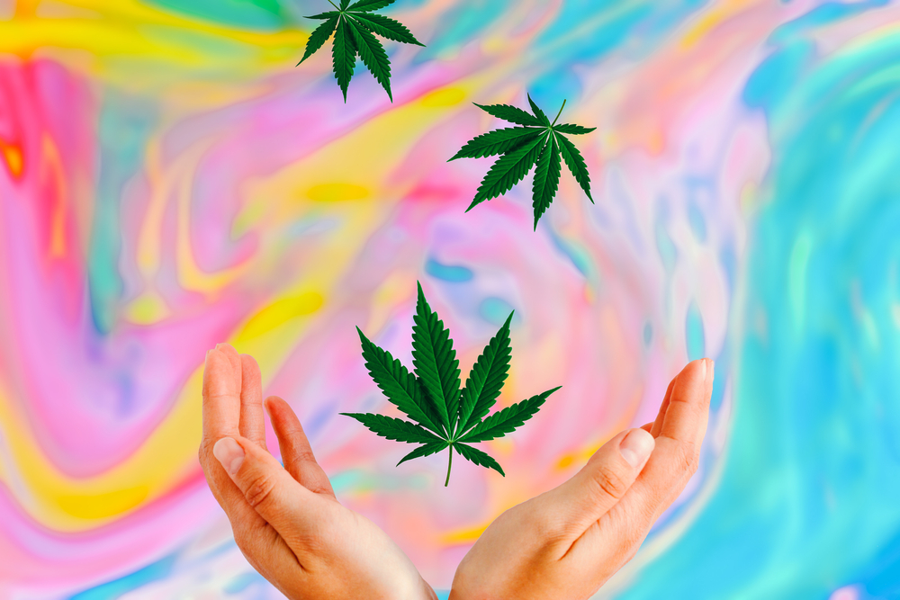 marijuana and an artist painting