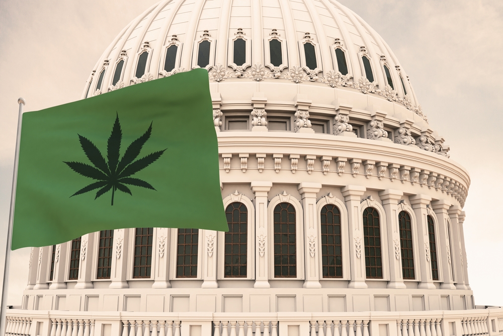 marijuana flag flying in washington d. c. 