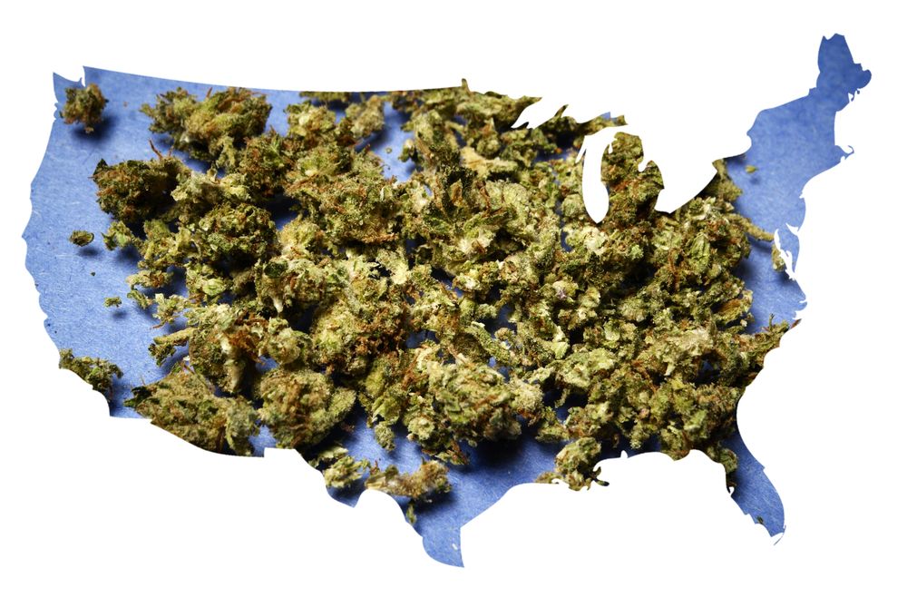 marijuana in america