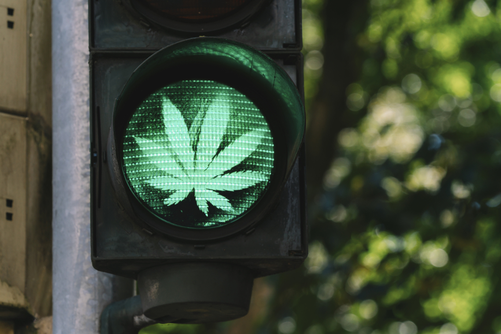 traffic light with marijuana leaf