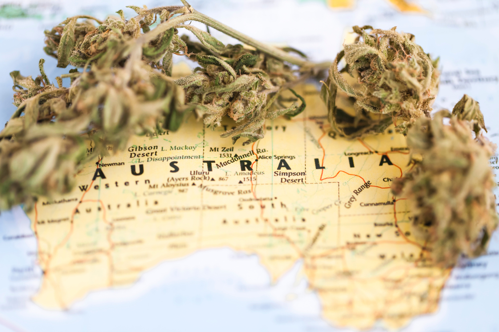 map of Australia and marijuana buds