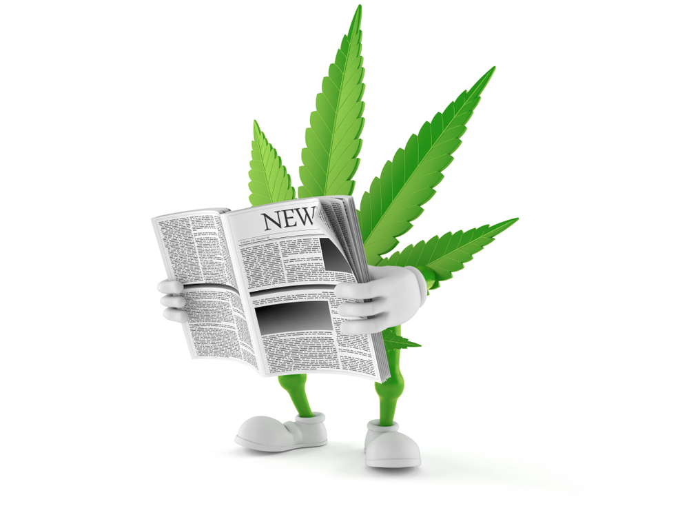 marijuana leaf and newspapers