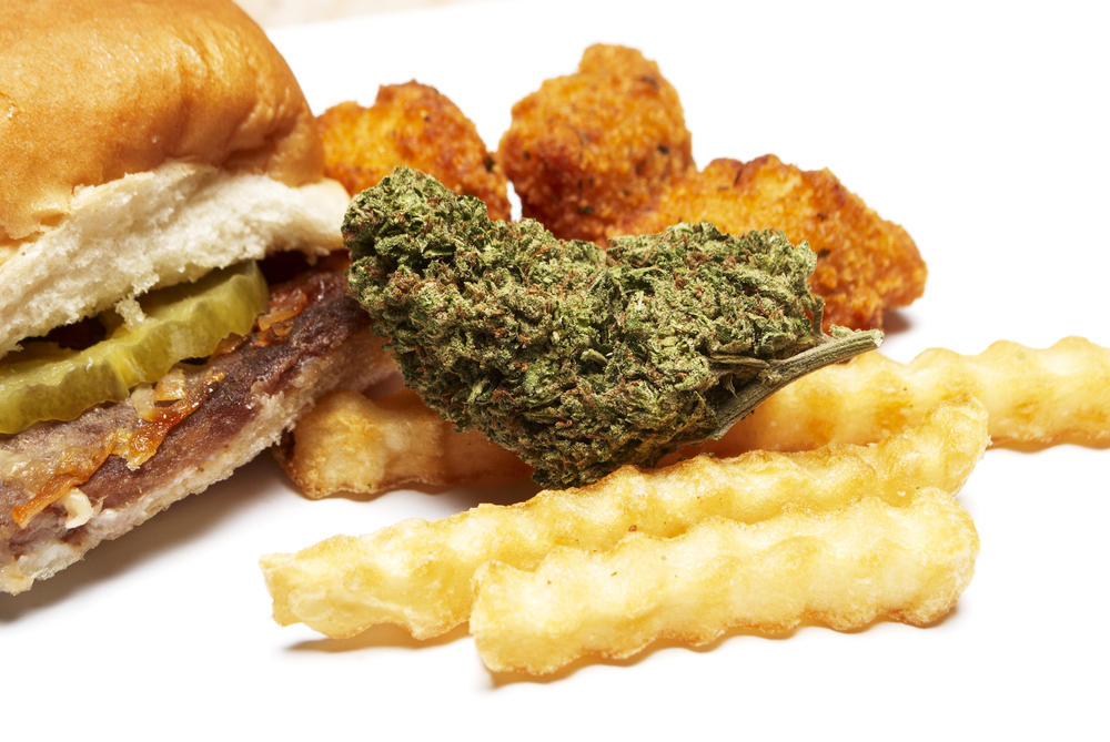 hamburger marijuana joint and french fries