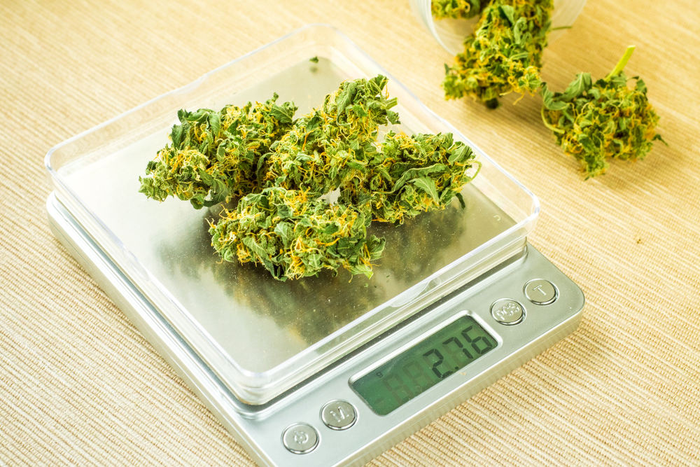 marijuana bud on a measuring scale