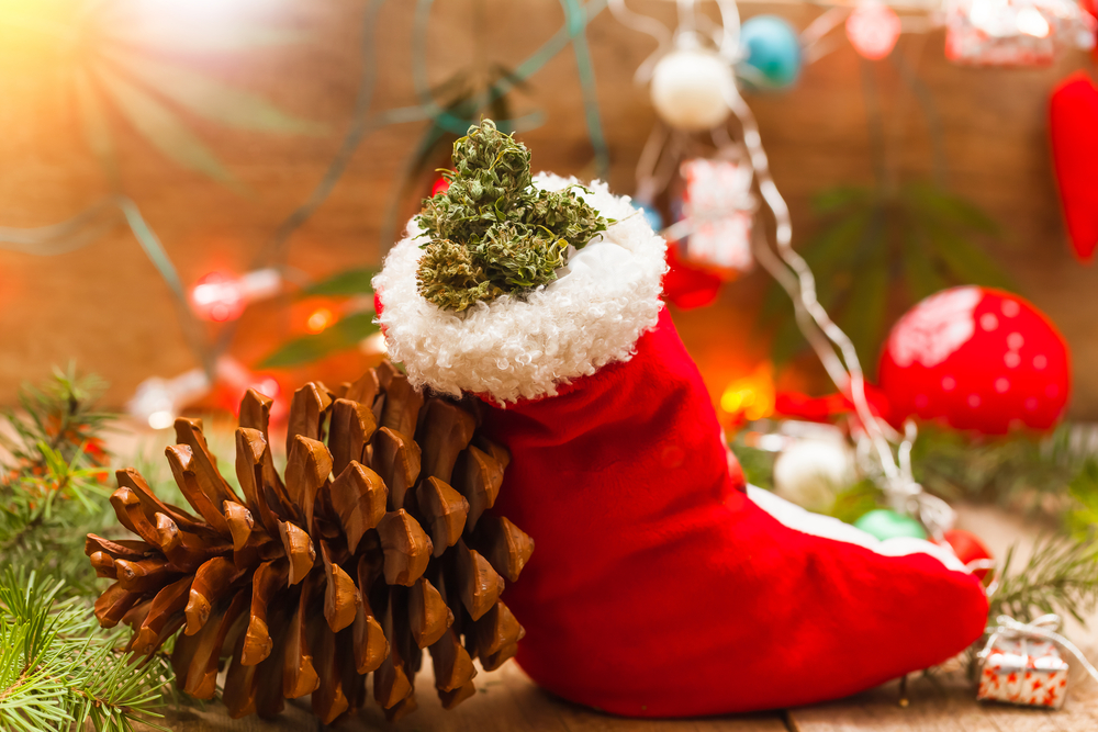 red santa stocking filled with marijuana bud