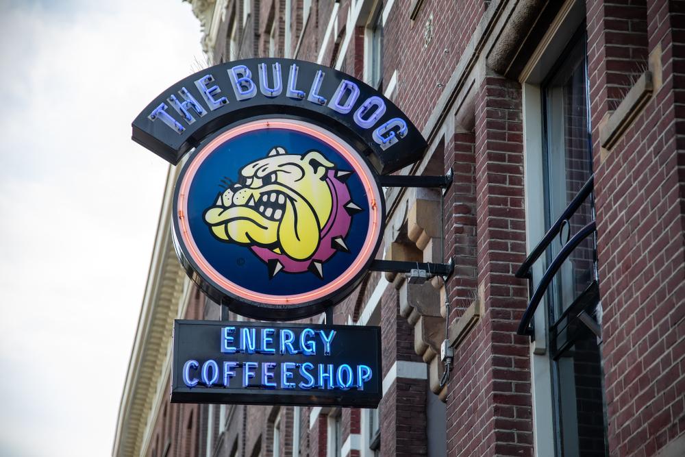 bulldog coffeeshop amsterdam