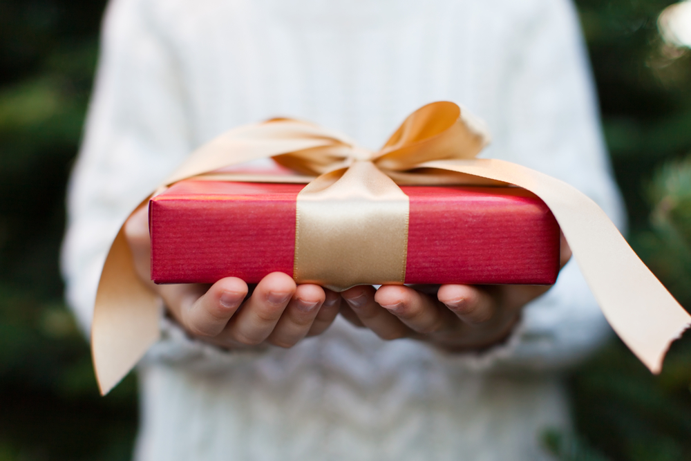 person holding christmas gift