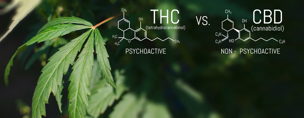 cbd and thc molecular structures