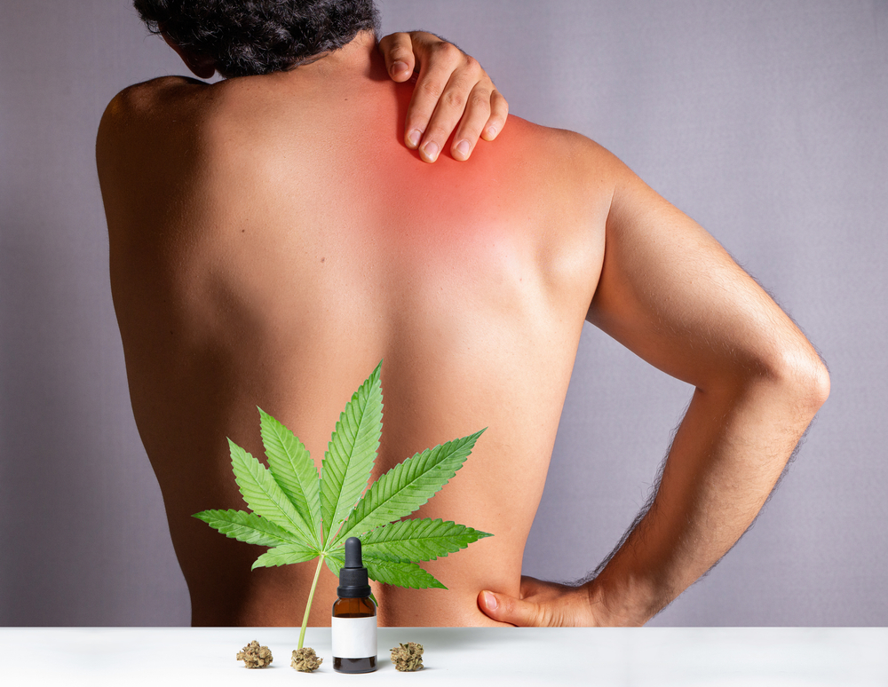 cbd for back pain