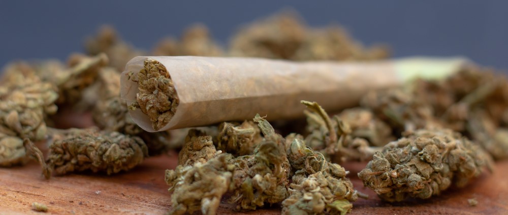 marijuana joint and bud