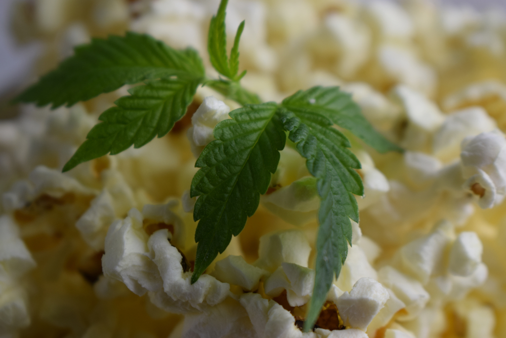 marijuana with popcorn