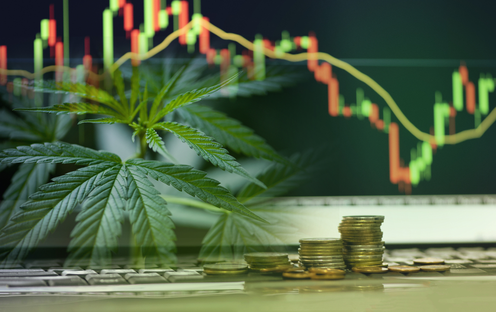 marijuana leaf and a stock chart