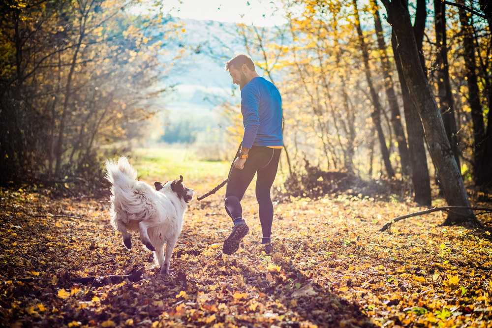 walking a dog in the woods